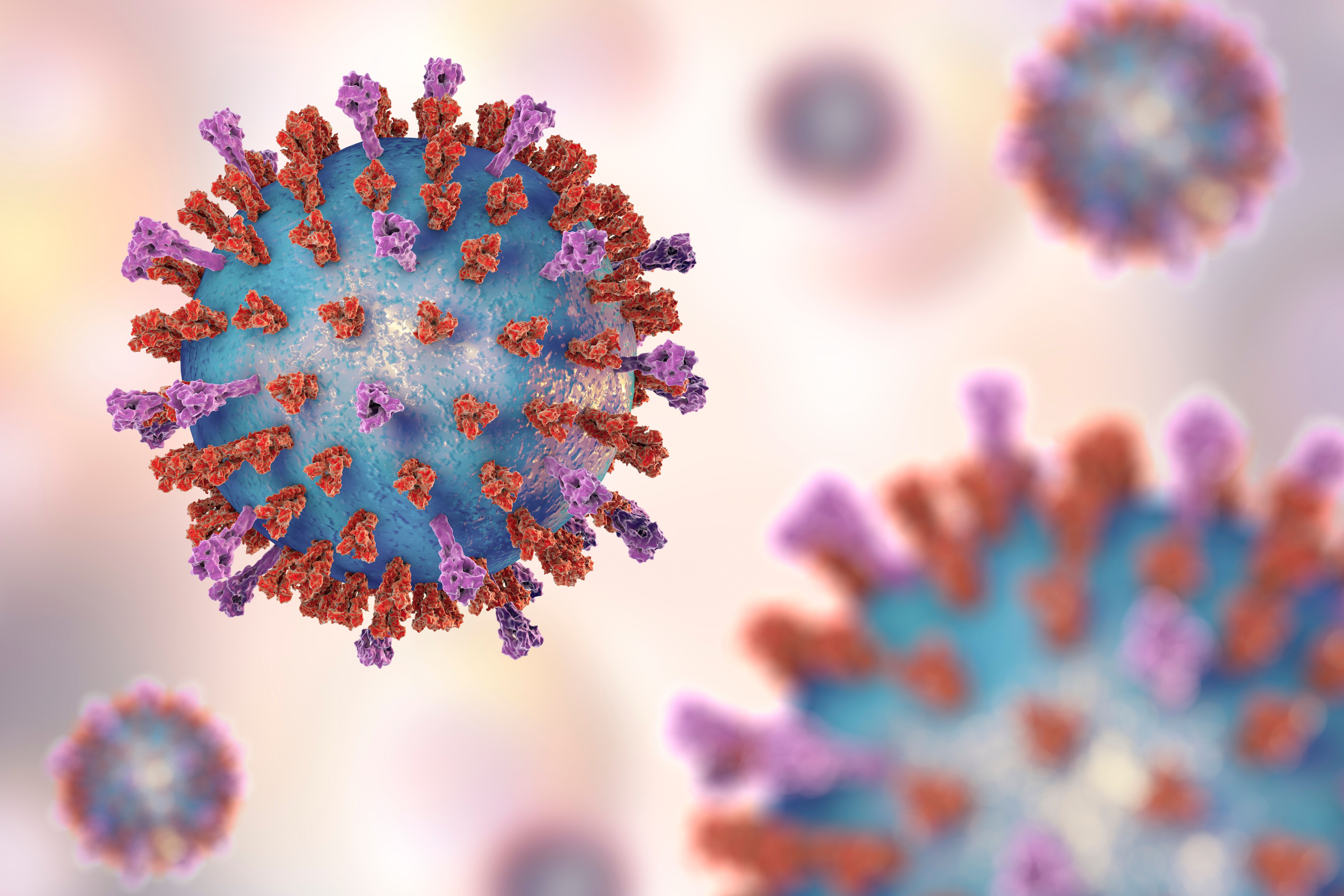 Pfizer's infant RSV vaccine receives FDA Advisory Committee's support | Image Credit: Dr_Microbe - Image Credit: Dr_Microbe