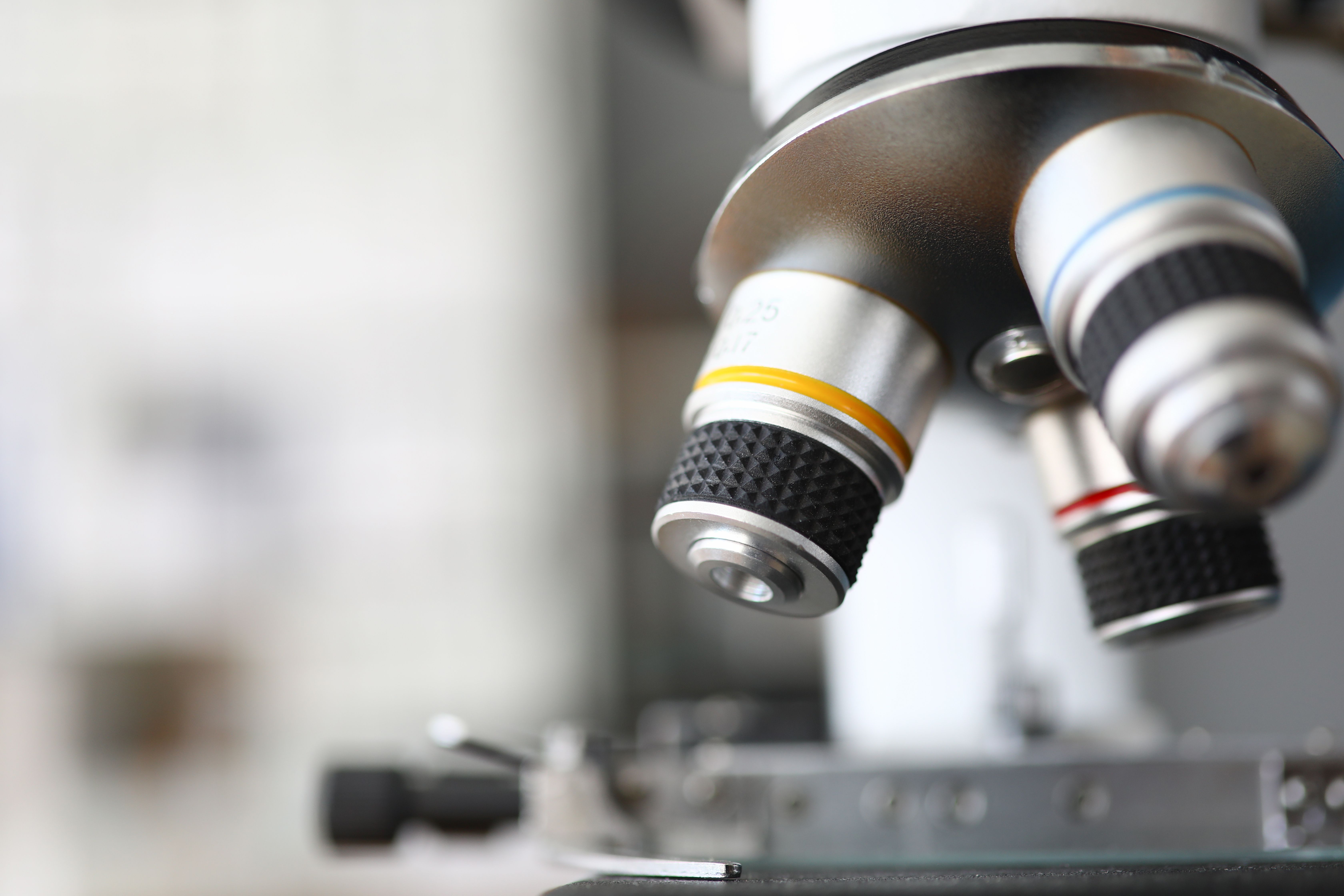 Phase 3 trial shows vosoritide improves growth in children with hypochondroplasia | Image Credit: © H_Ko - stock.adobe.com.