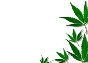 Treating an 18-month-old who tested positive for cannabis exposure