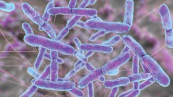Bifidobacterium-based synbiotic shows safety and gut colonization in infants and toddlers | Image Credit: © Dr_Microbe - stock.adobe.com