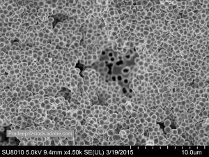 image of MRSA biofilm