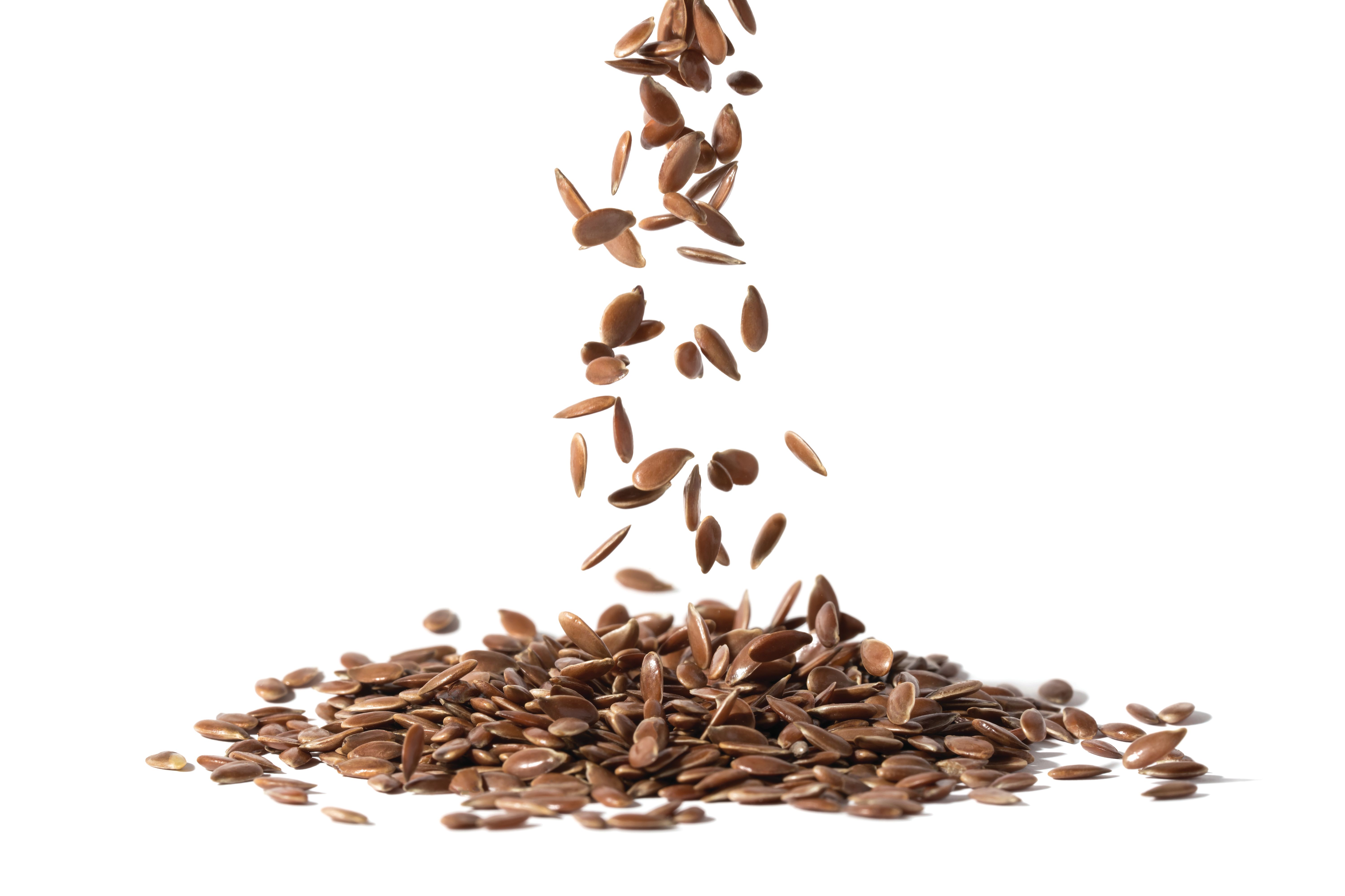 New law increases awareness—and labeling requirements—for seed allergens | Image Credit: © JGade - © JGade - stock.adobe.com.