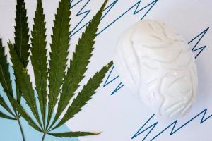 Cannabinoids as future treatment for epilepsy