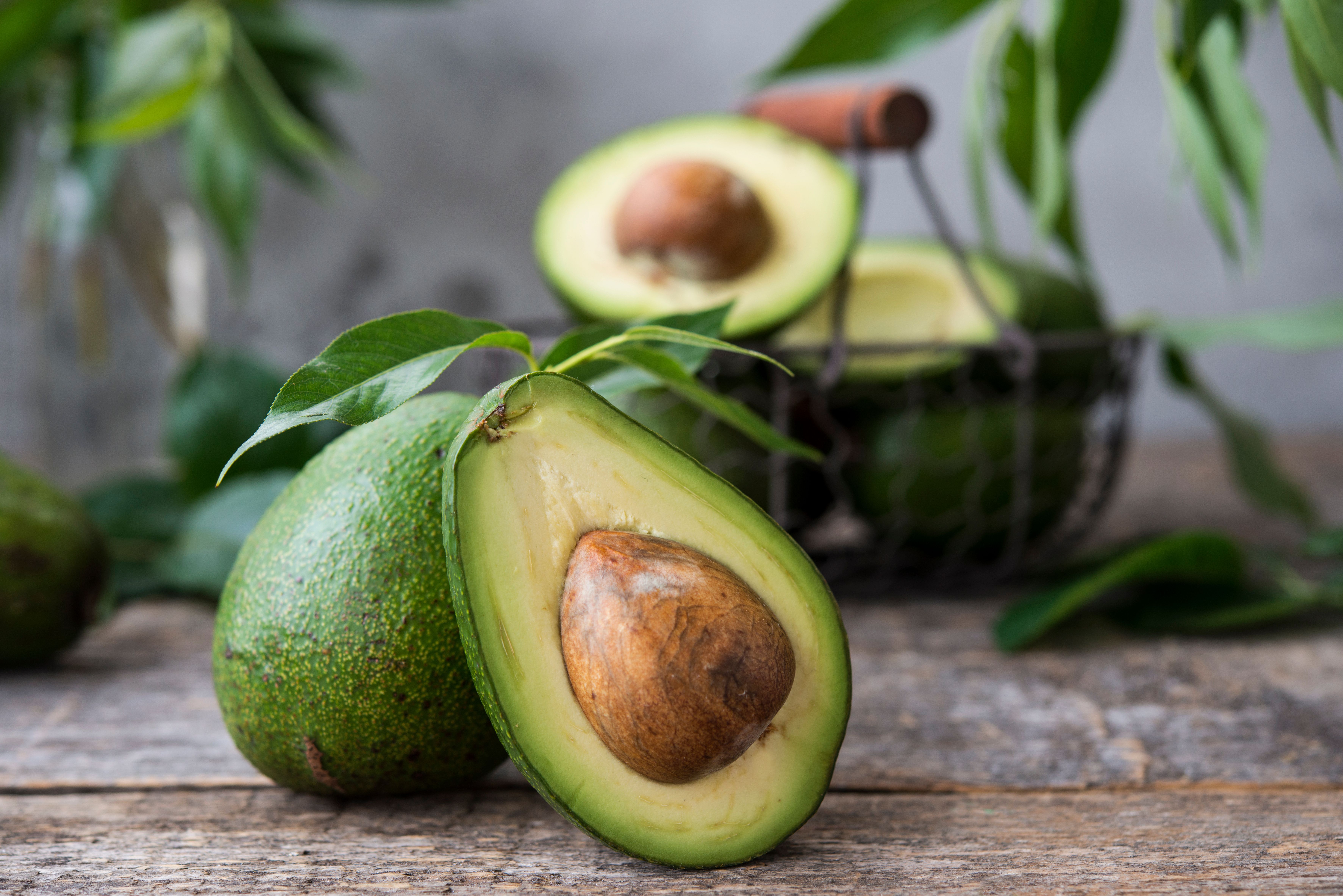 Maternal avocado consumption linked to reduced infant food allergy risk Maternal avocado consumption linked to reduced infant food allergy risk