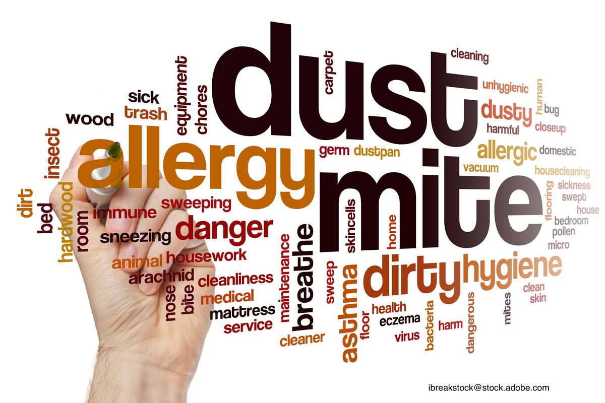 can-exposure-to-dust-mite-allergens-in-breast-milk-fight-against-food