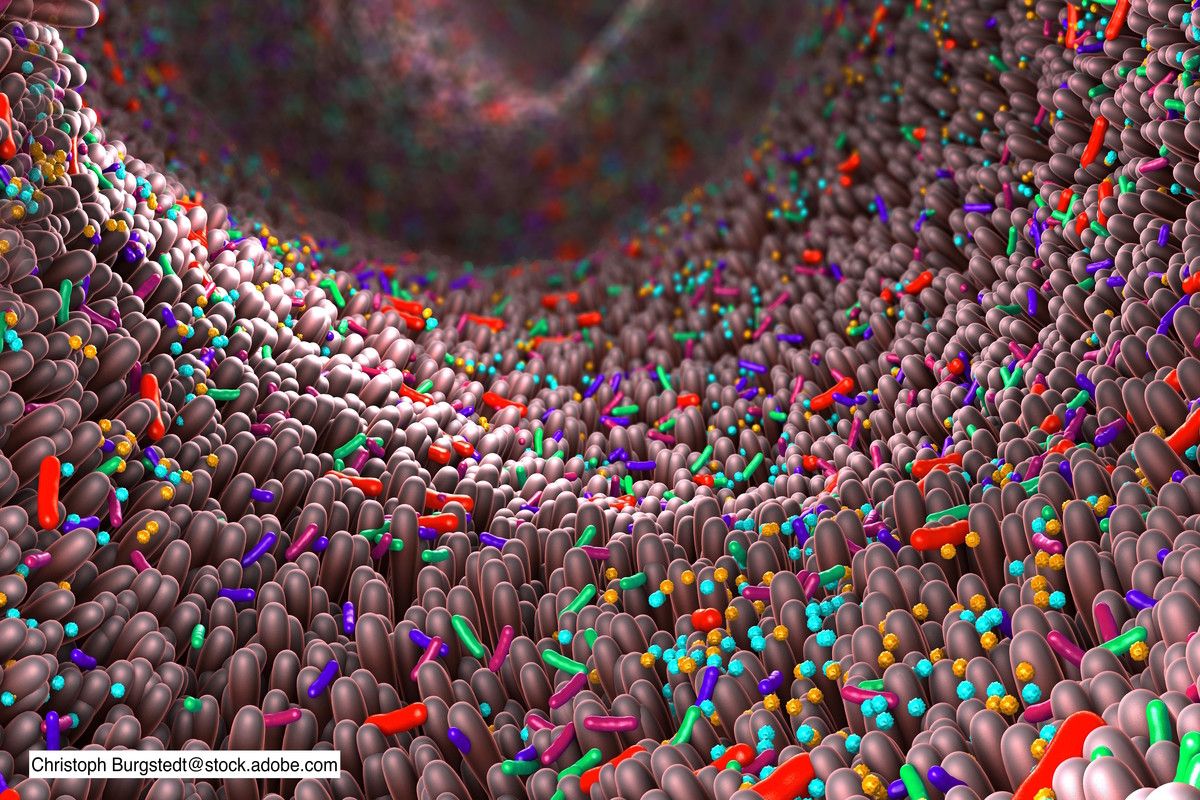 Does the intestinal microbiota hold clues about celiac disease?