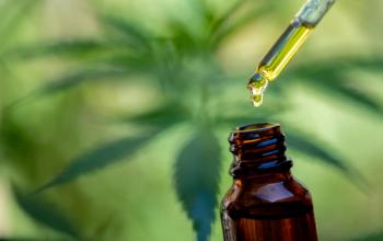 Cannabidiol demonstrates safety, mixed efficacy for severe behavior problems in autistic boys | Image Credit: © EKKAPON - stock.adobe.com.