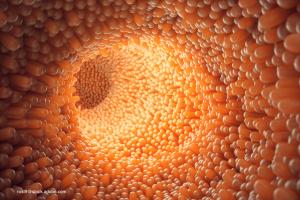 Gastrointestinal disorders: Red flags and best treatments