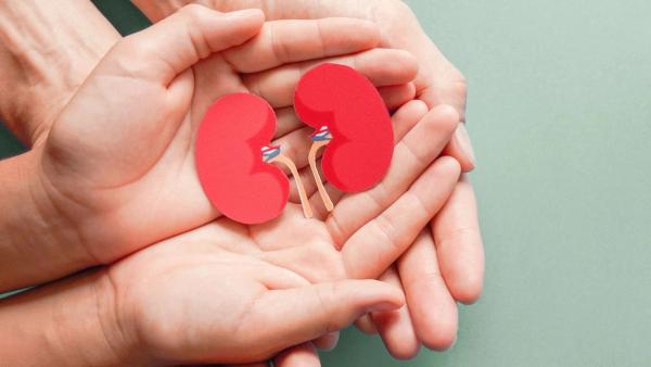 American Indian and Alaskan Native individuals face some of the highest kidney cancer burdens in the United States: © stock.adobe.com.