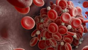 image of blood cells