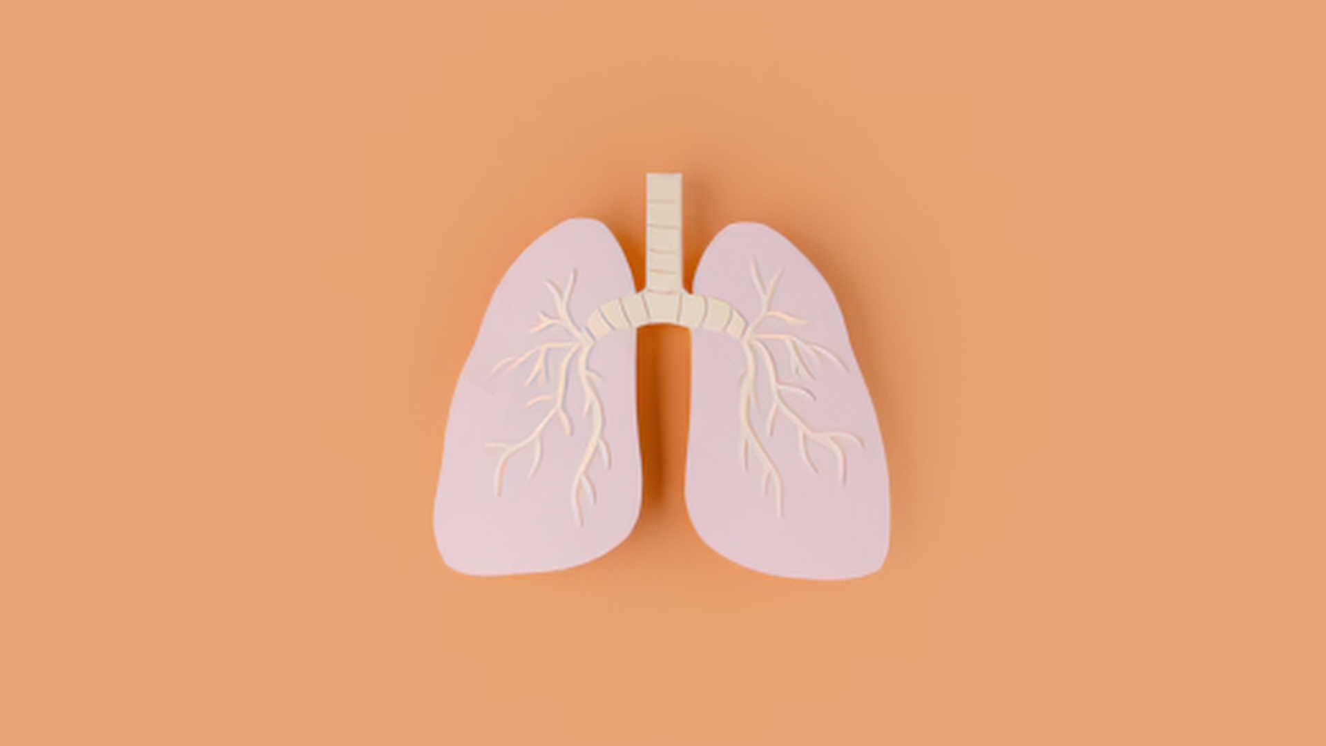 Lung