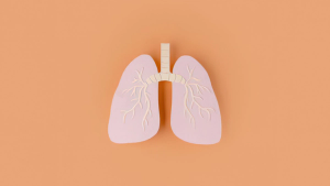 Lung