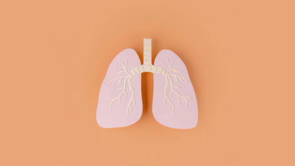 Lung Image.