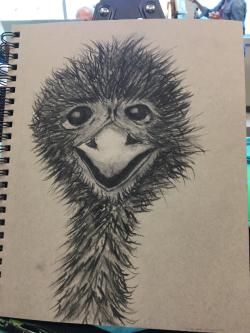 I feel like an Emu!  
