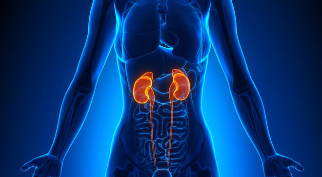 Expectations for Postsurgical Treatments in Kidney Cancer