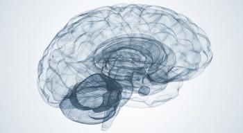 Illustration of brain. 