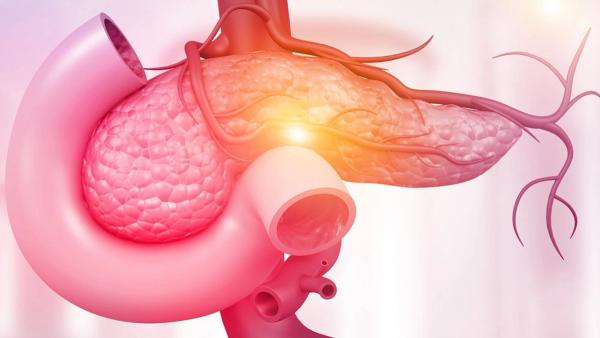 Elraglusib plus chemotherapy doubled one-year survival in metastatic pancreatic cancer, showing improved outcomes in a phase 2 trial: © stock.adobe.com.