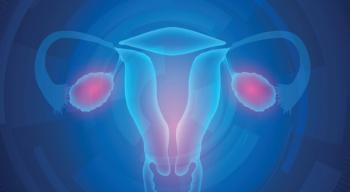 Illustration of female reproductive system.