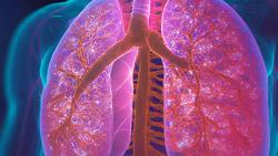 ‘Understanding Neuropathy and Cancer Rehabilitation’: LiveLung Fort Myers’ November Meeting Empowers Patients and Survivors