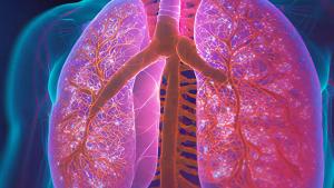 LiveLun invites the Fort Myers lung cancer community to its monthly educational meeting: © stock.adobe.com.