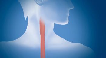 esophagus
