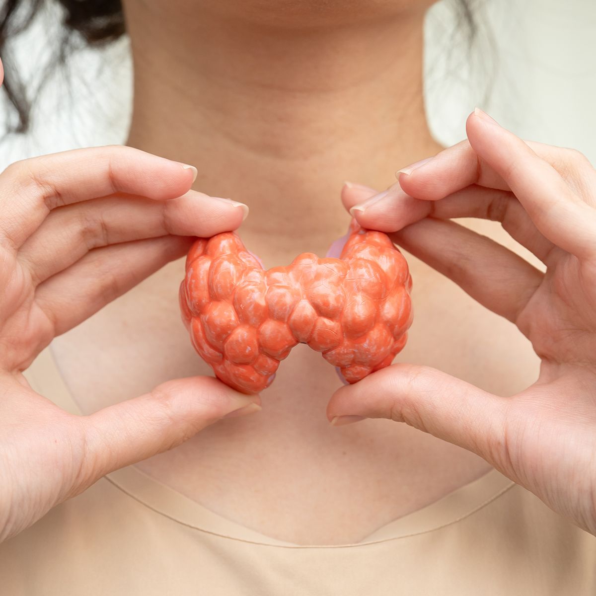 image of a thyroid