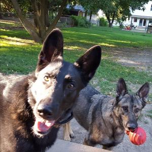 Survivors Share Kind Moments Along Their Cancer Journeys