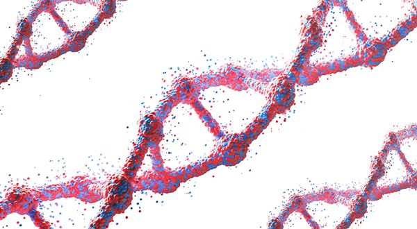 dna