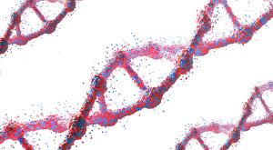 Understanding Prevention For Hereditary Cancer