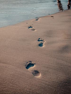 What Becomes Priority When An Illness Steps Foot Front and Center?