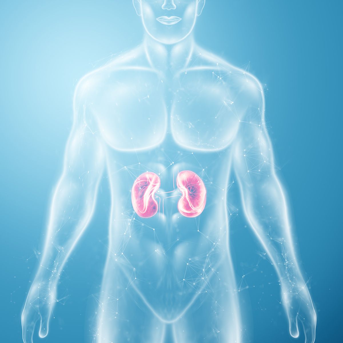 PD-1 treatment may help by shifting certain immune cells to fight diseases like kidney cancer: © stock.adobe.com.