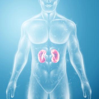 PD-1 treatment may help by shifting certain immune cells to fight diseases like kidney cancer: © stock.adobe.com.
