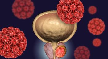 Illustration of the bladder. 