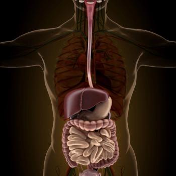 Illustration of intestines.