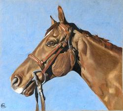 Horse Healing 