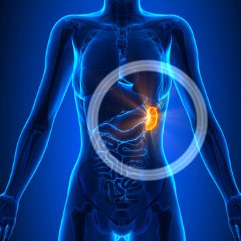 Illustration of a woman's body with the spleen emphasized in red.