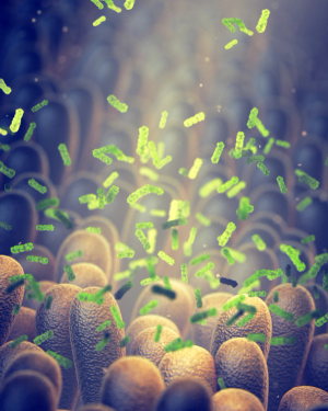 Follow Your Gut: Advances in Understanding Microbiomes Are Transforming Cancer Care