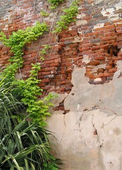 Old Brick Wall
