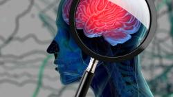 IGV-001 Shows Longer Survival for Newly Diagnosed Glioblastoma