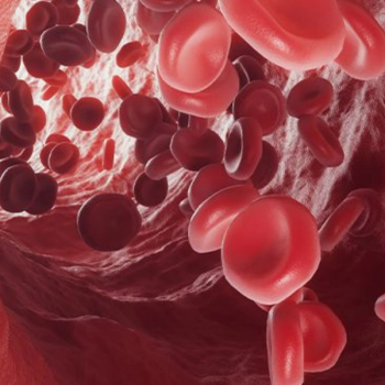 Illustration of blood cell.