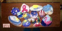 Seashell Stages