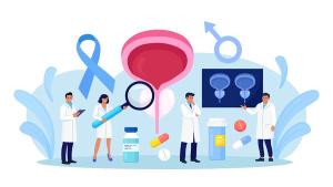 The U.S. FDA granted “study may proceed” clearance for a trial of Teverelix in prostate cancer: © stock.adobe.com.