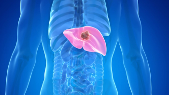 Image of liver