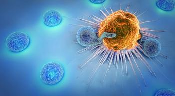 white blood cell