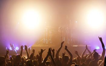 A crowd of people at a live music concert