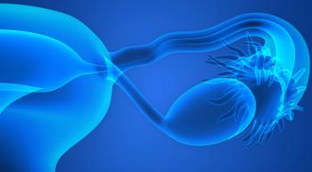 Illustration of ovaries.