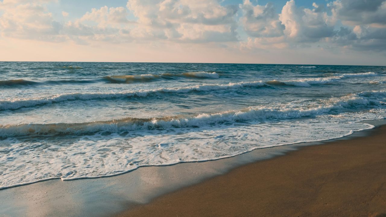 beach and waves