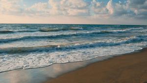 beach and waves