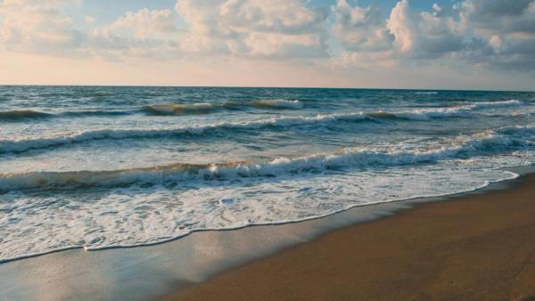 beach and waves