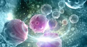 Illustration of cells.